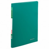 Папка 20 вкладышей BRAUBERG "Office", зеленая, 0,5 мм, 222627